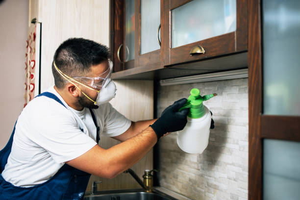 Best Exterminator Services  in Cheney, KS