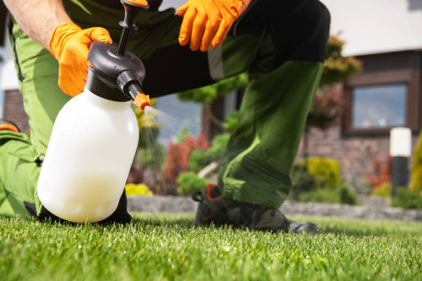 Best Best Pest Control Companies  in Cheney, KS