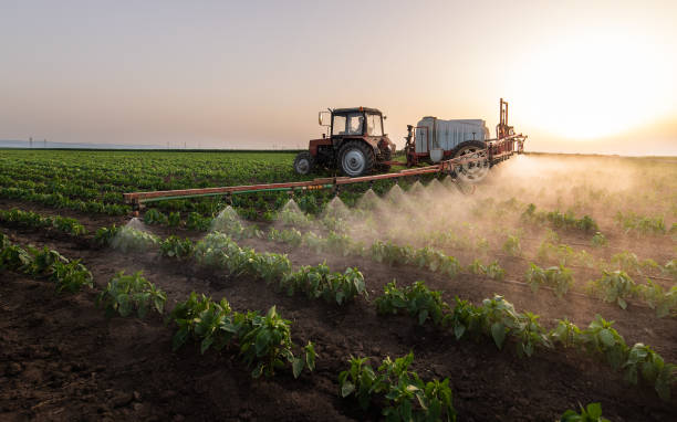Best Insect Control  in Cheney, KS
