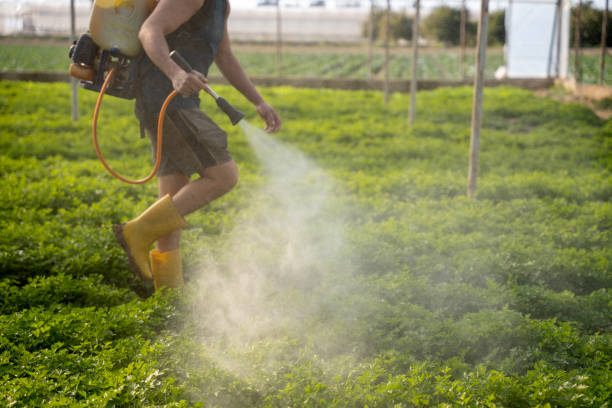 Best Commercial Pest Control Services  in Cheney, KS