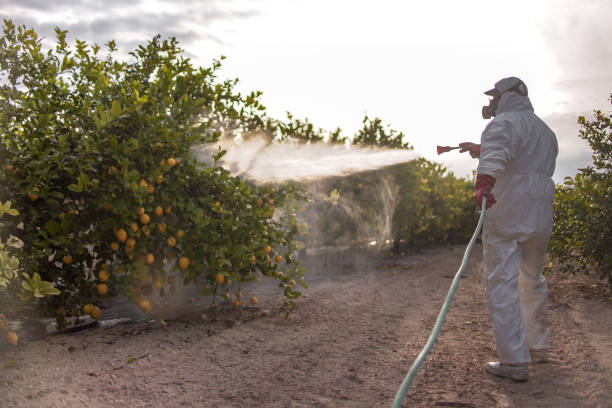 Best Residential Pest Control  in Cheney, KS