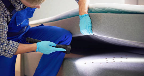 Best Rat Extermination Near Me  in Cheney, KS