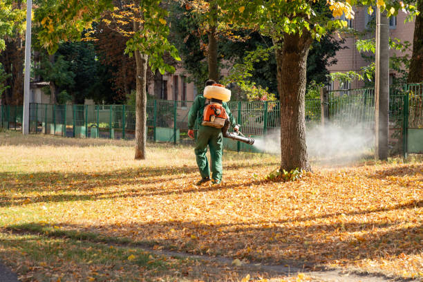 Best Local Pest Control Services  in Cheney, KS